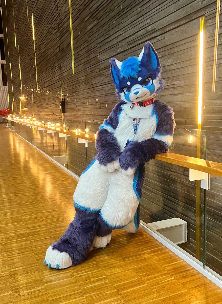 me trying to look sexy just so you give me a snack~ 🦴