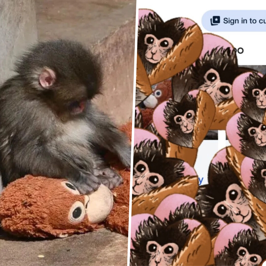 When you type “Punch the Monkey” into Google, a special animated feature pops up on the screen 💞