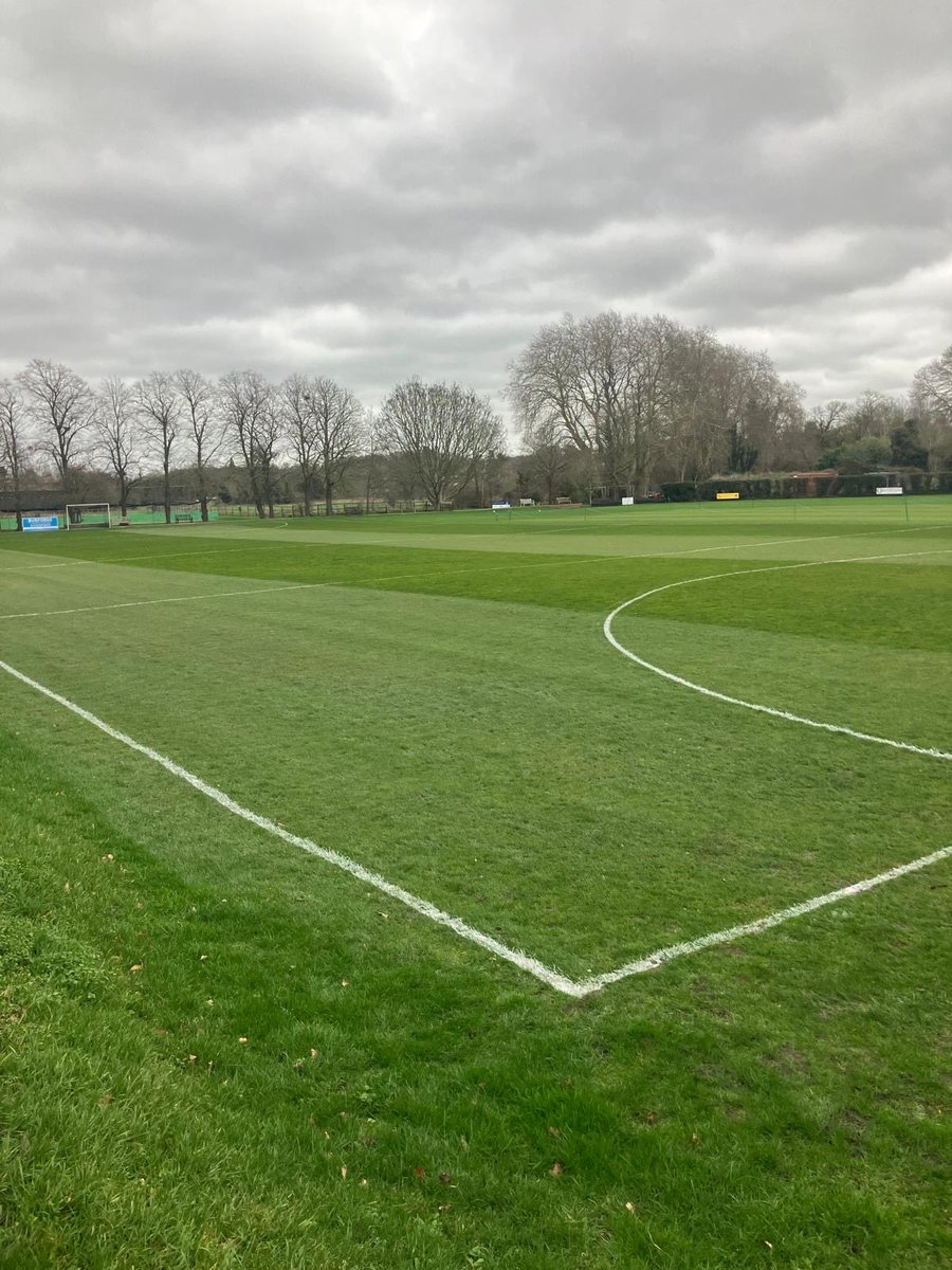 David Sealey tweet media