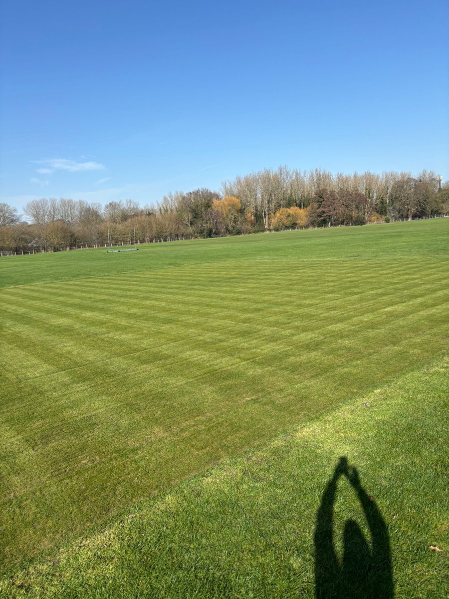 David Sealey tweet media