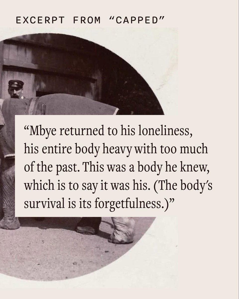 Epiphany Magazine tweet media