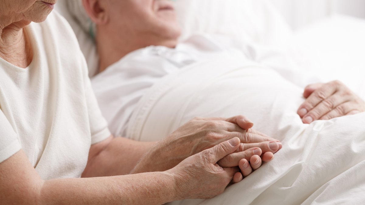 Silver Eco tweet media