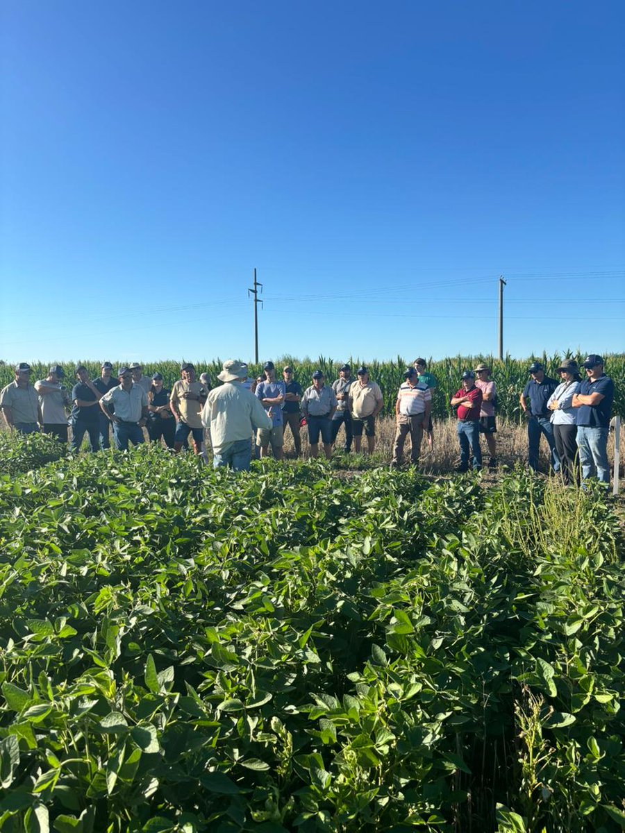 Corteva Argentina tweet media