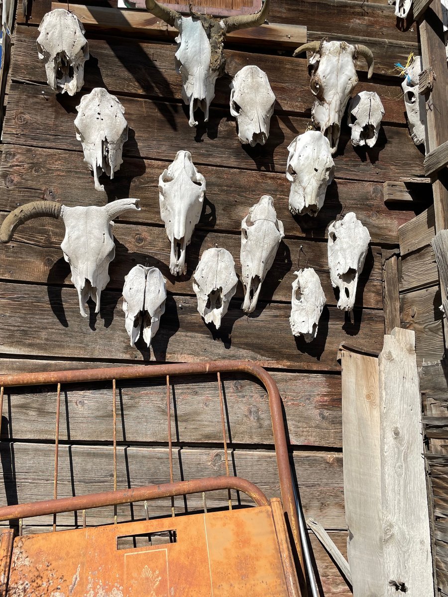 Litro Magazine tweet media