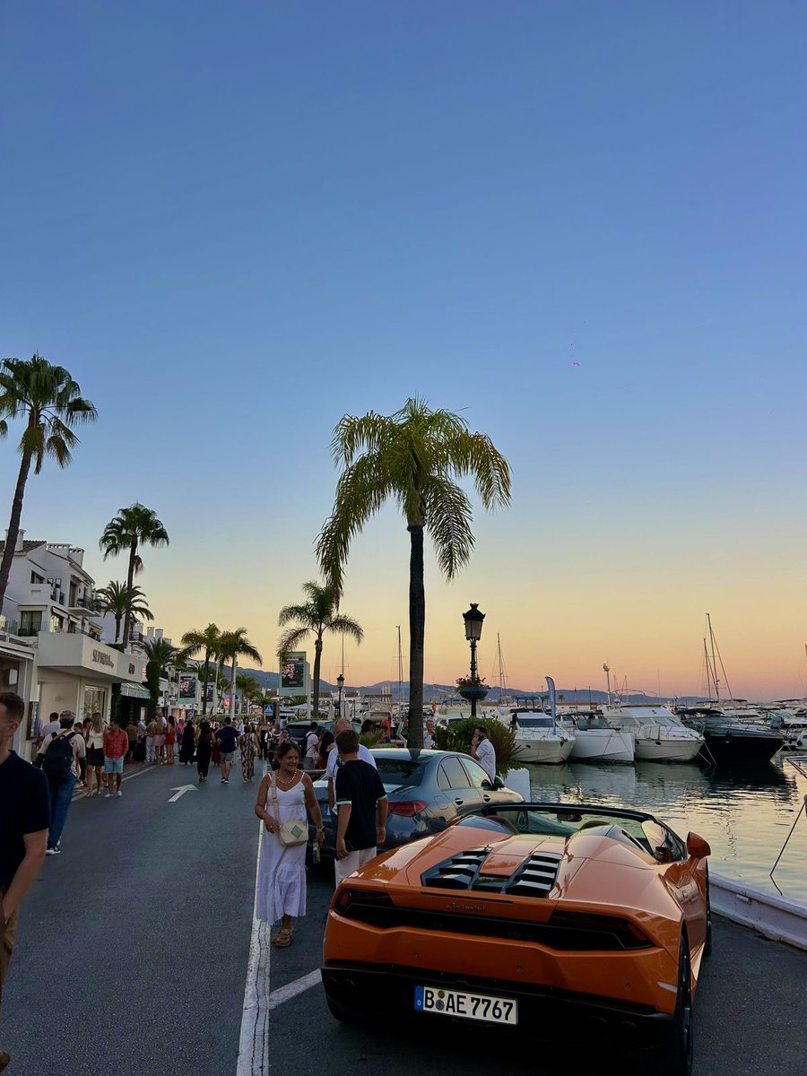 CryptoThro's tweet photo. Keeping my eyes on some of these 

$Droverinu
$PUNCH
$LOBSTAR
$RAVE
$PENGUIN
$WHITEWHALE
$AURA
$EAGLE
$FLOPI
$MOMO
$WOJAK
$PFP
$MOMO
$SACHI
$USELESS 
$BULLISH
$TIBBIR
$WOJAK
$AURA
$TROLL
$SHARK
$VINE
$AFK

What do you all think? https://t.co/iifqma7L7o