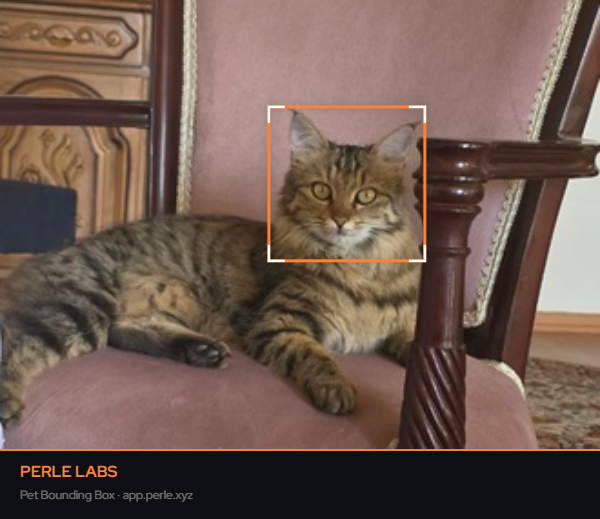 Eddy π² ✦ 🍊,💊 tweet media