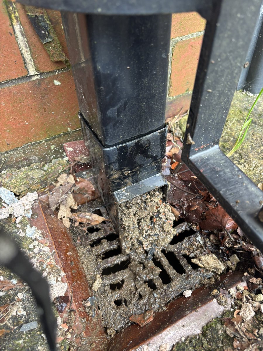 #HONESTMAN4HIRE tweet media