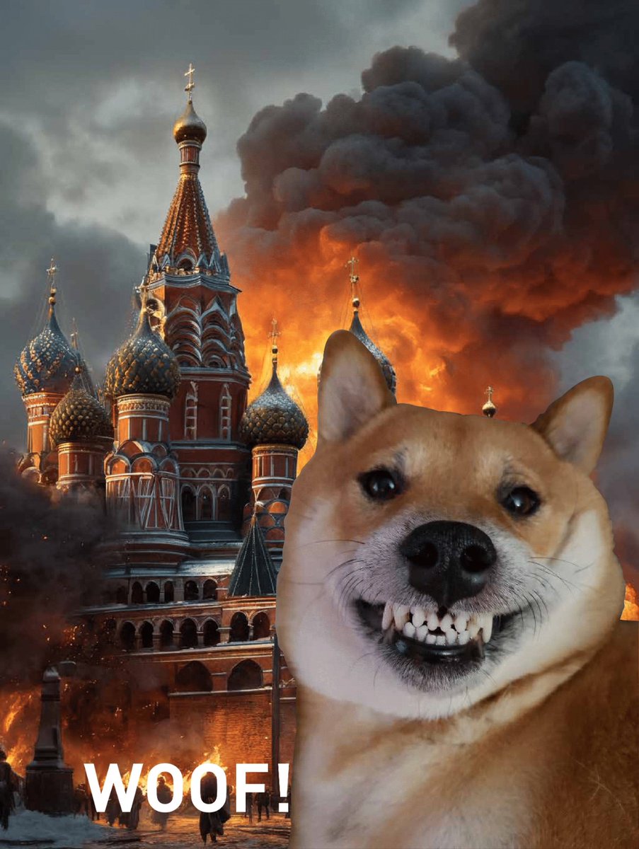 Feisty Robin Rembrandt fella tweet media