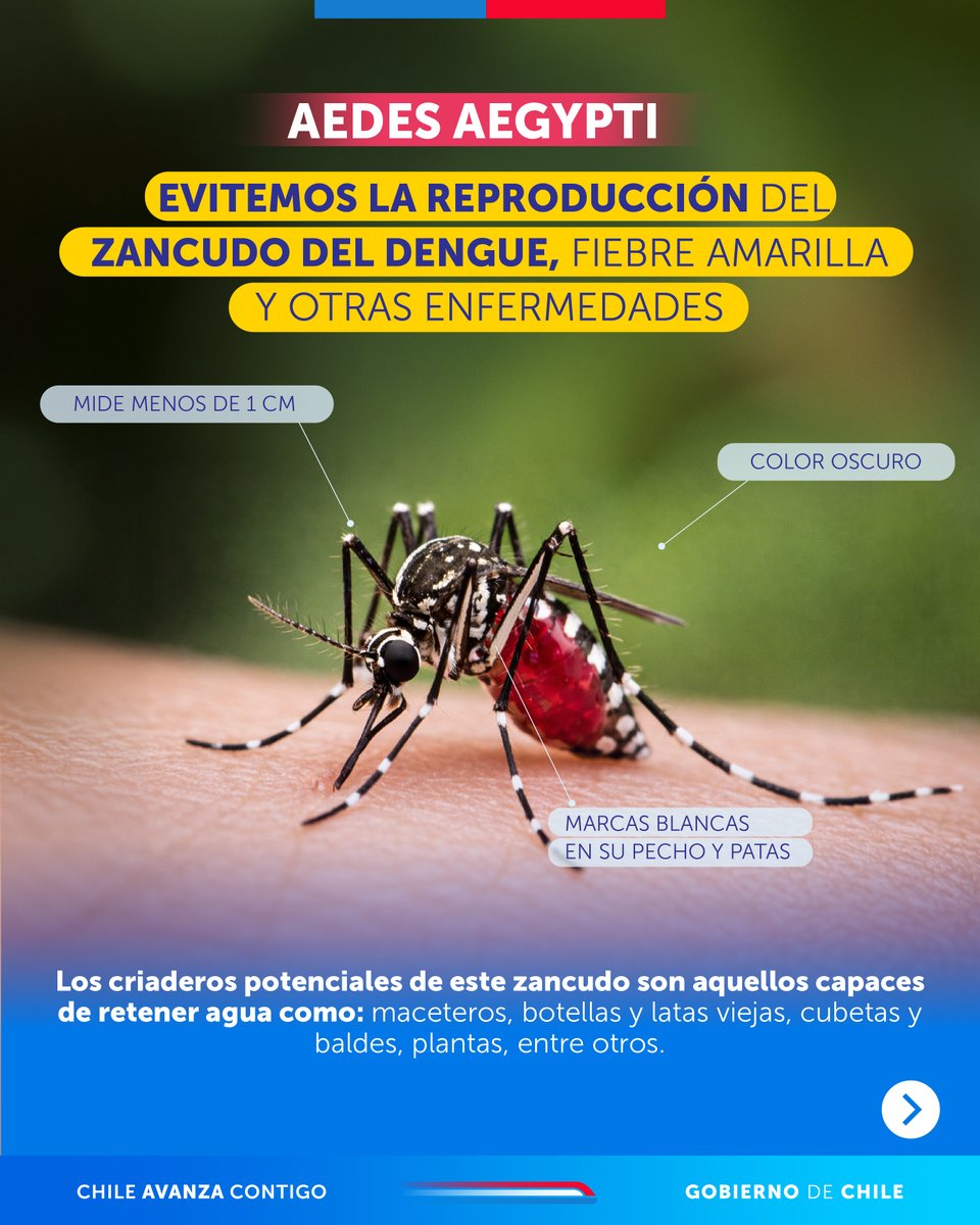 Instituto de Seguridad Laboral tweet media