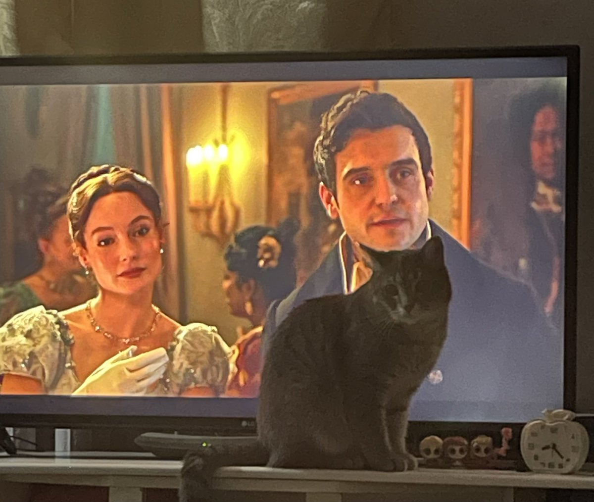 puer_stella's tweet photo. Catflix vs Netflix https://t.co/ncuH6N4BNn