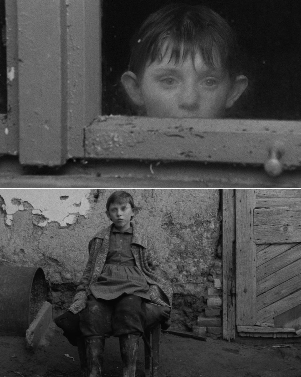 The Beverly Theater tweet media