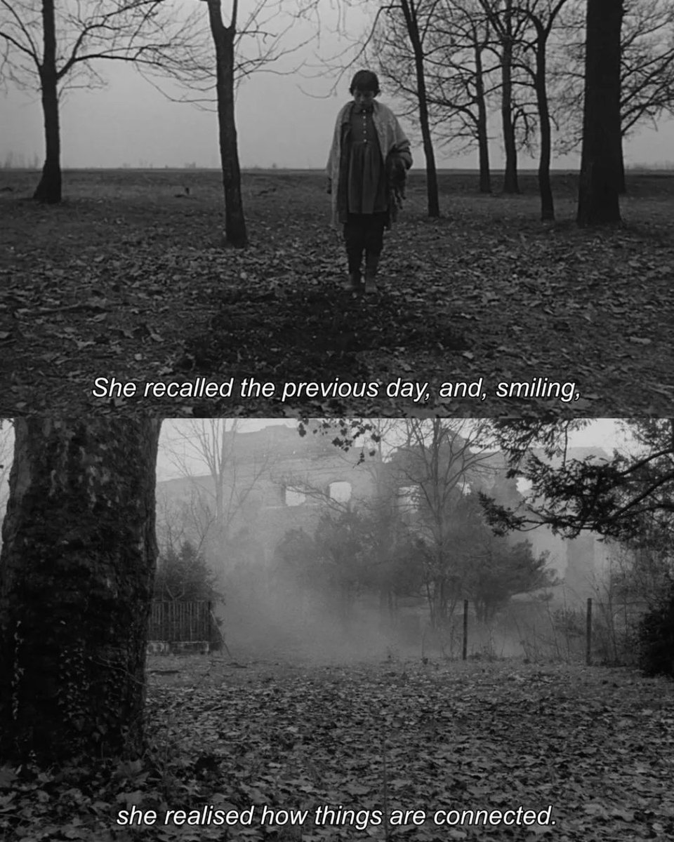 The Beverly Theater tweet media