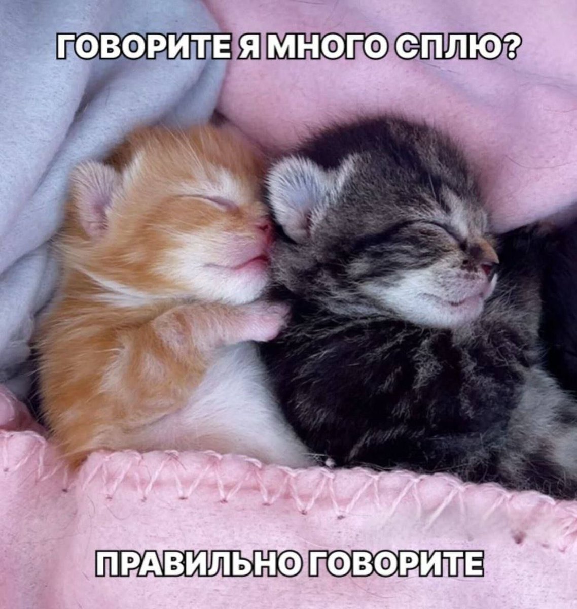 Это могли бы быть мы с тобой, но ты пока меня не нашёл