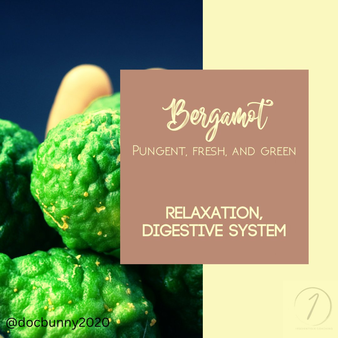 Docbunny2020's tweet image. Transform your space and mood with #Aromatherapy. 🌿 Dive into the soothing scents of essential oils and elevate your senses. ✨ #Relaxation #NaturalWellness #SelfCareSunday #HolisticHealth #AromaMagic