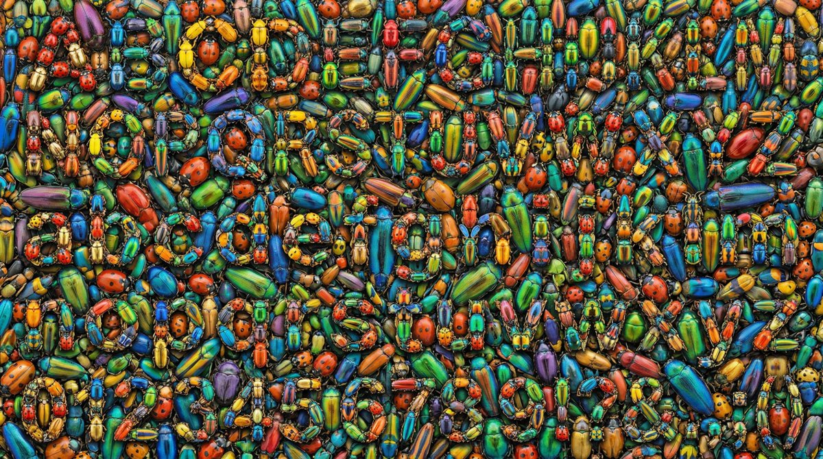 Greenfield Team! tweet media