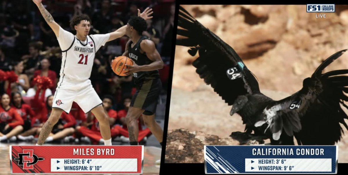 No Context College Basketball tweet media