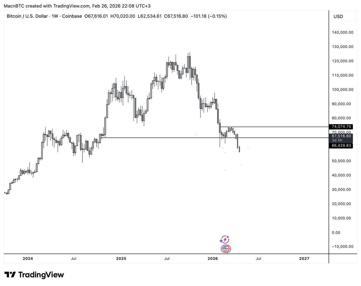 Mac 🐺 tweet media
