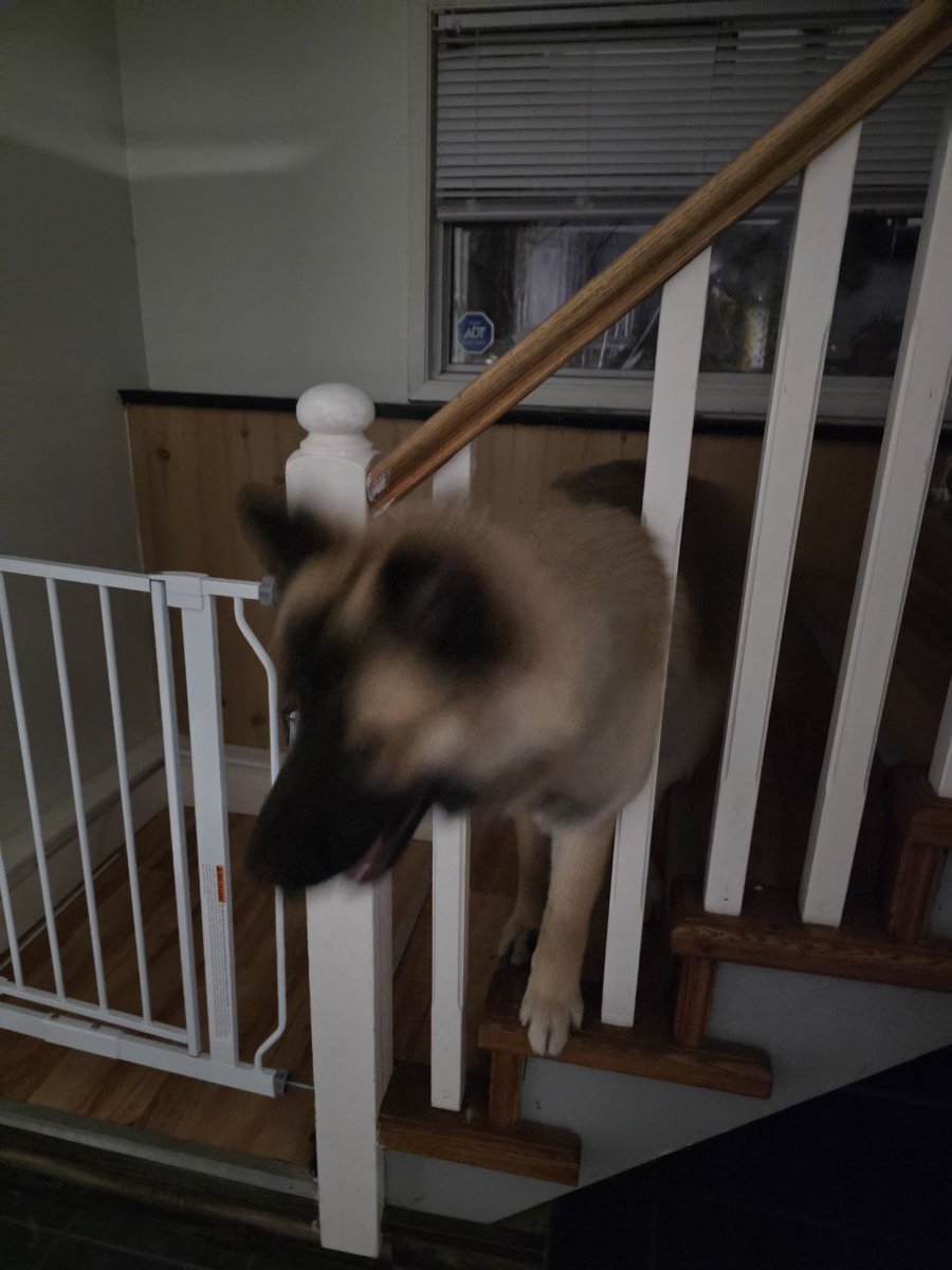 Jik The Real Estate Drolf 🇨🇦 tweet media