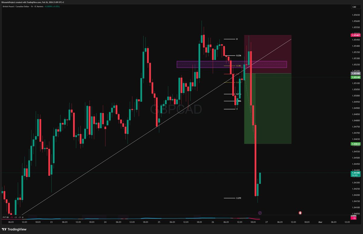 George Bitsounis tweet media