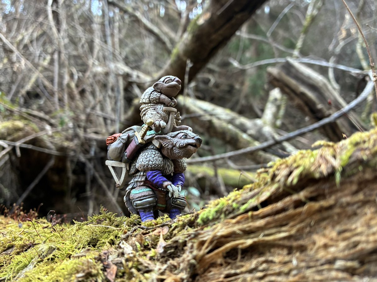 おはようございます