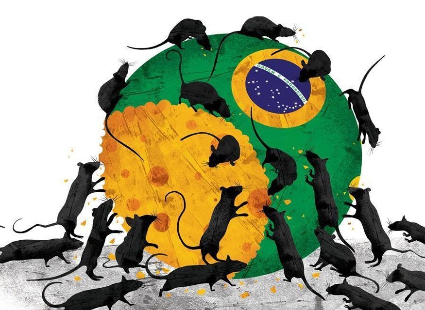 silbellato's tweet image. 👇