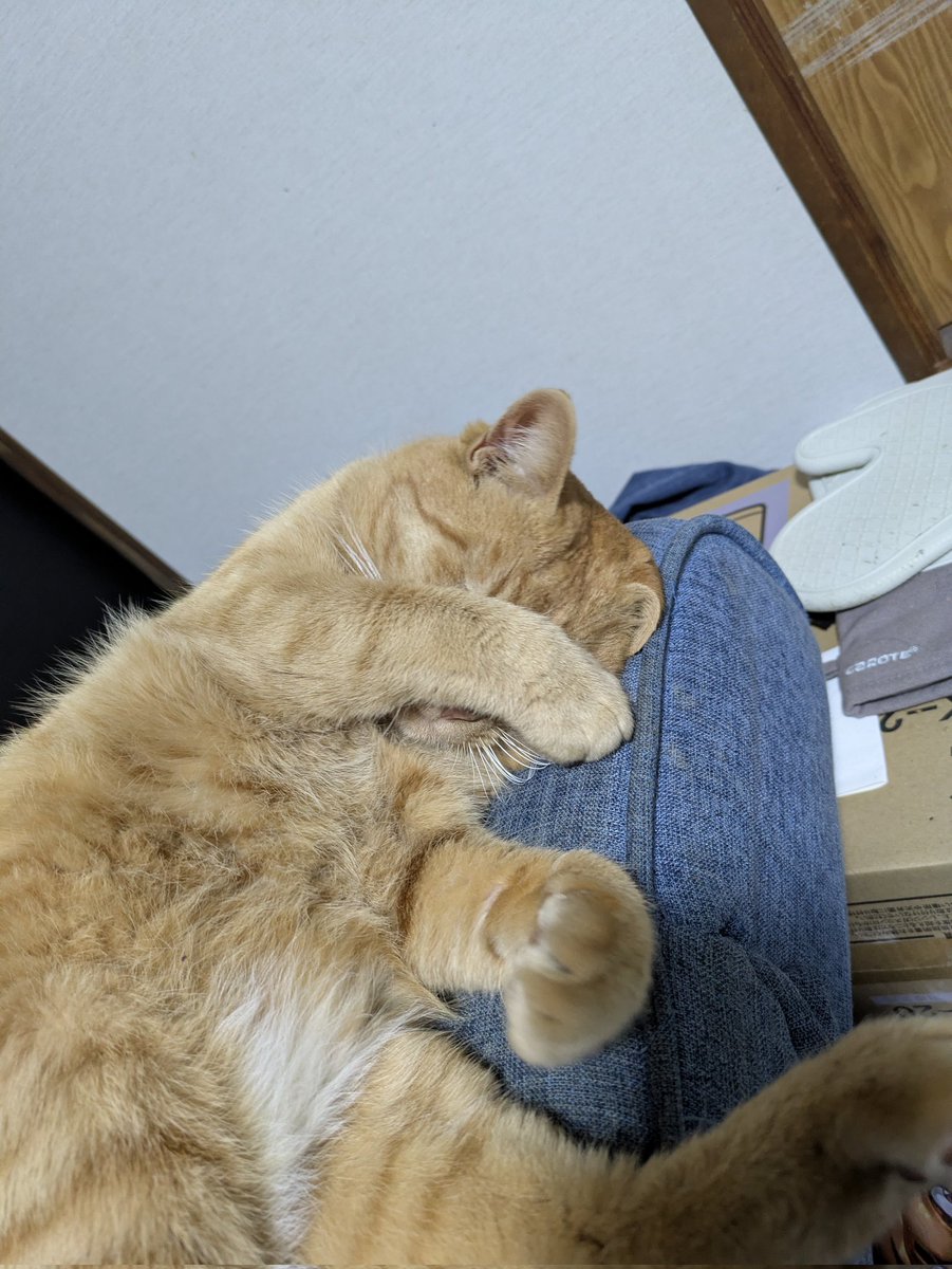 osoretaro tweet media