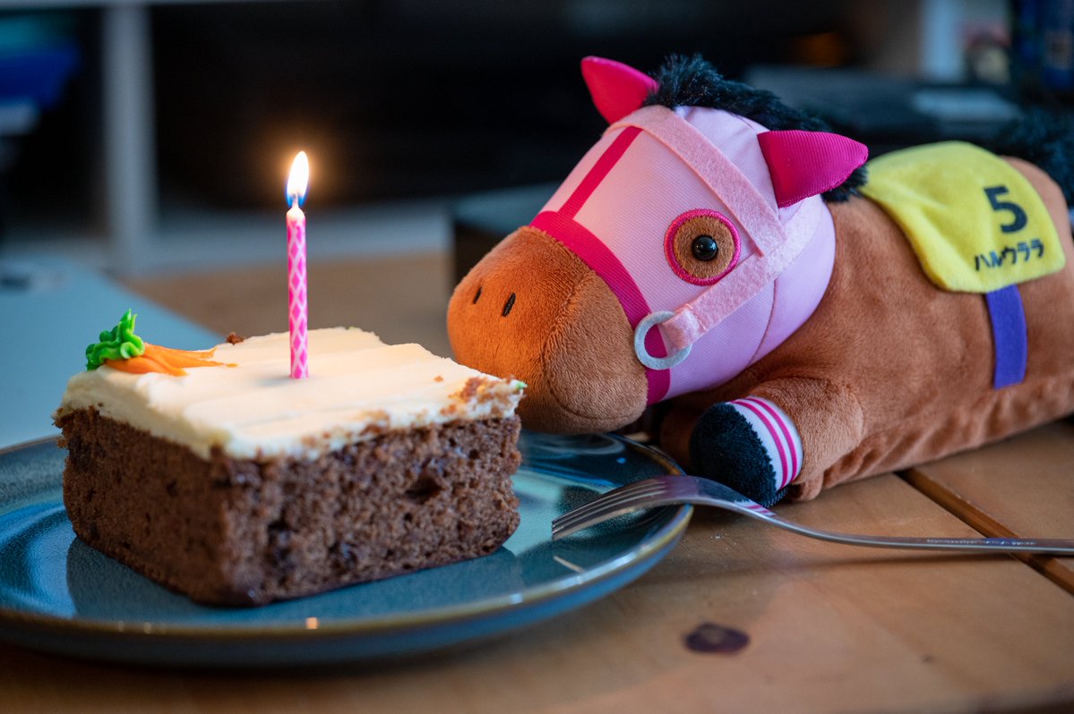 Happy Birthday, Urara-chan 🌸

ウララちゃんお誕生日おめでとう 🌸

お祝いにキャロットケーキを買った
We bought carrot cake to celebrate🥕🎂

#ハルウララ