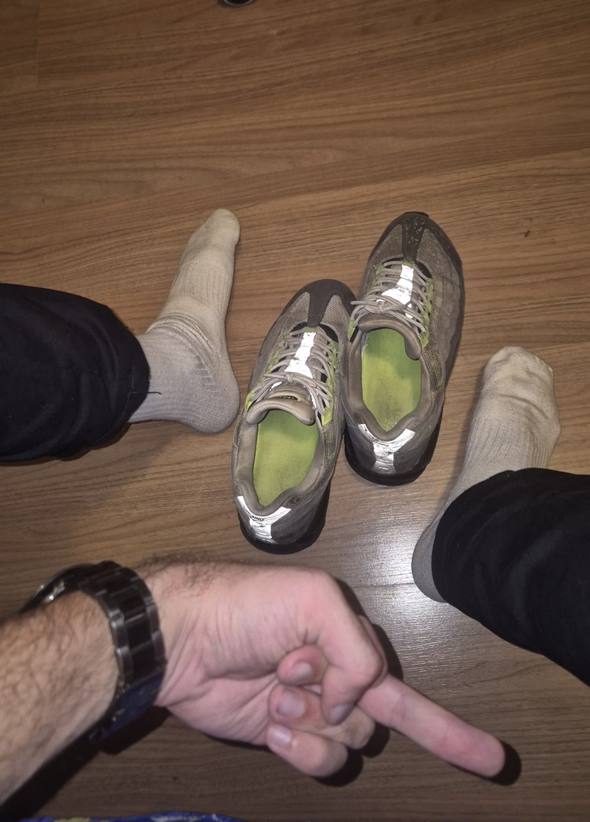 porco mineiro 🔺️ tweet media