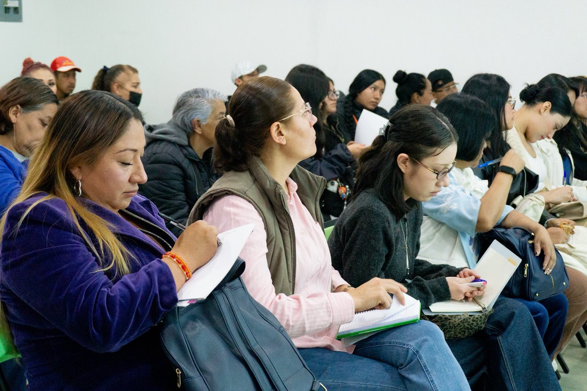 PVEM Cd. de México tweet media