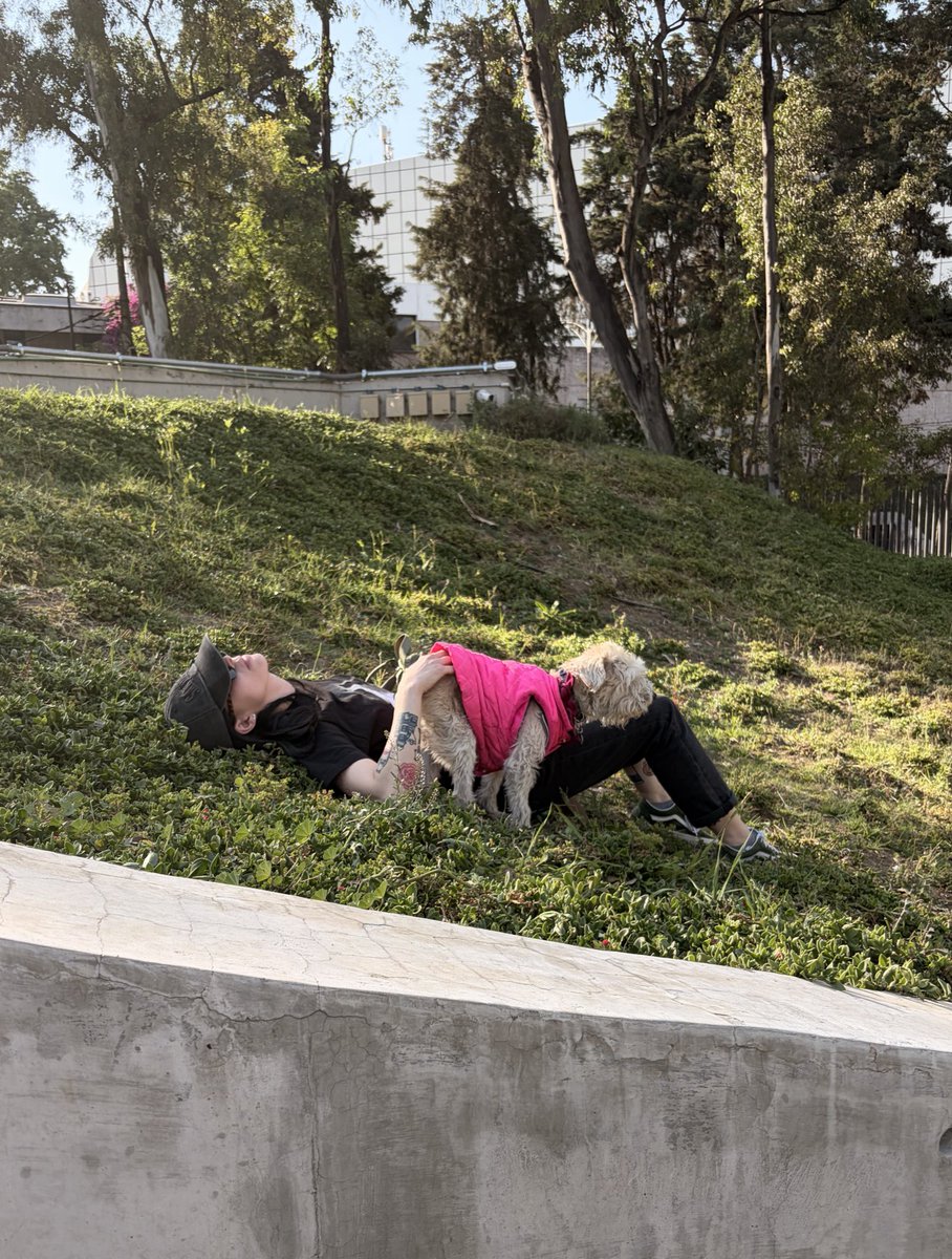 Lulú Molina tweet media