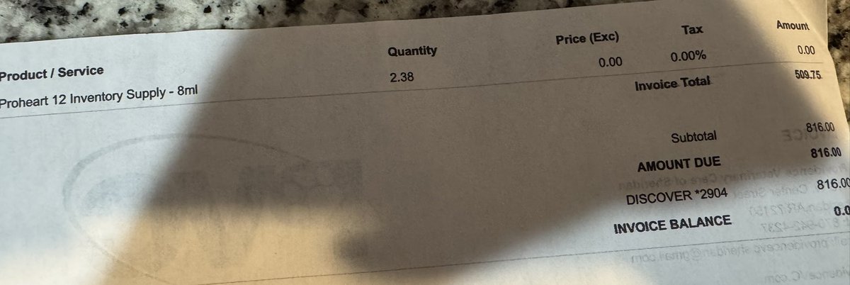 kota ‎ ݁˖༘⋆𐦍⊹₊ tweet media