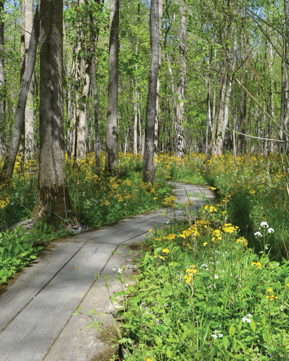 Indiana Connection tweet media