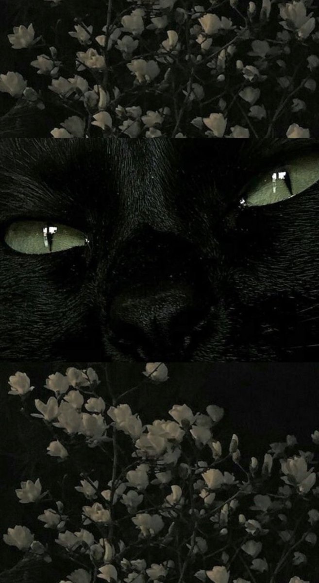 Applesauce tweet media