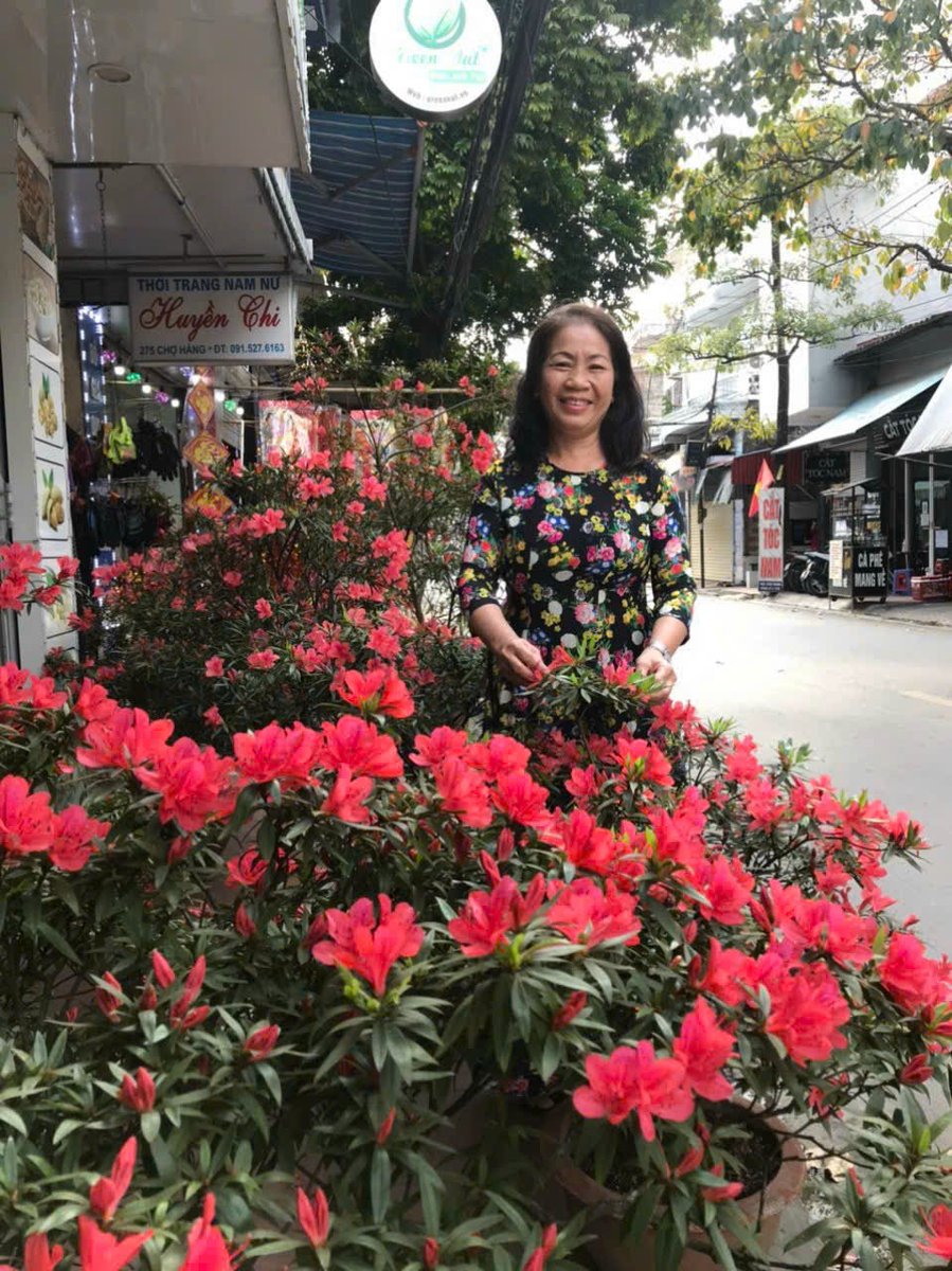 HƯƠNG TRÀ | Green Whisper tweet media