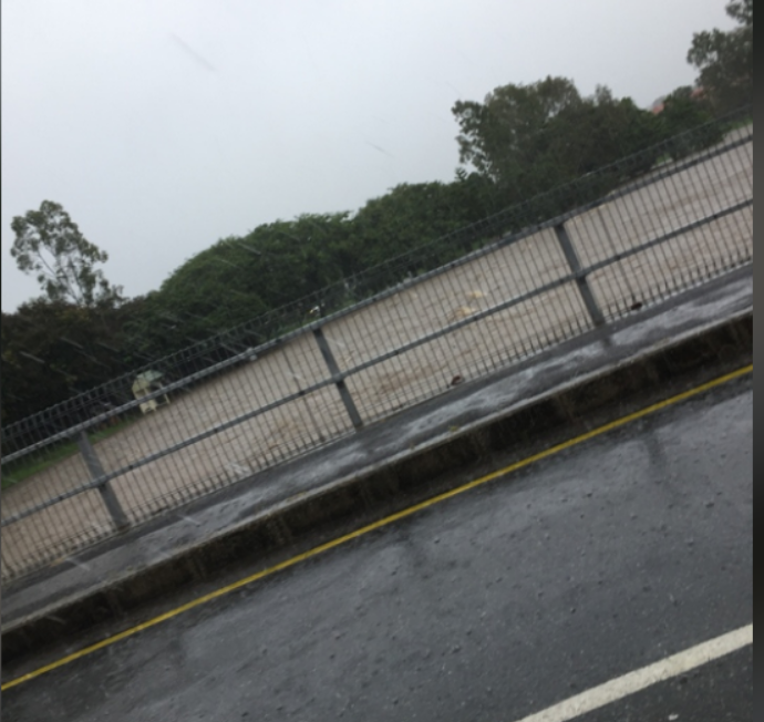 David Topp tweet media