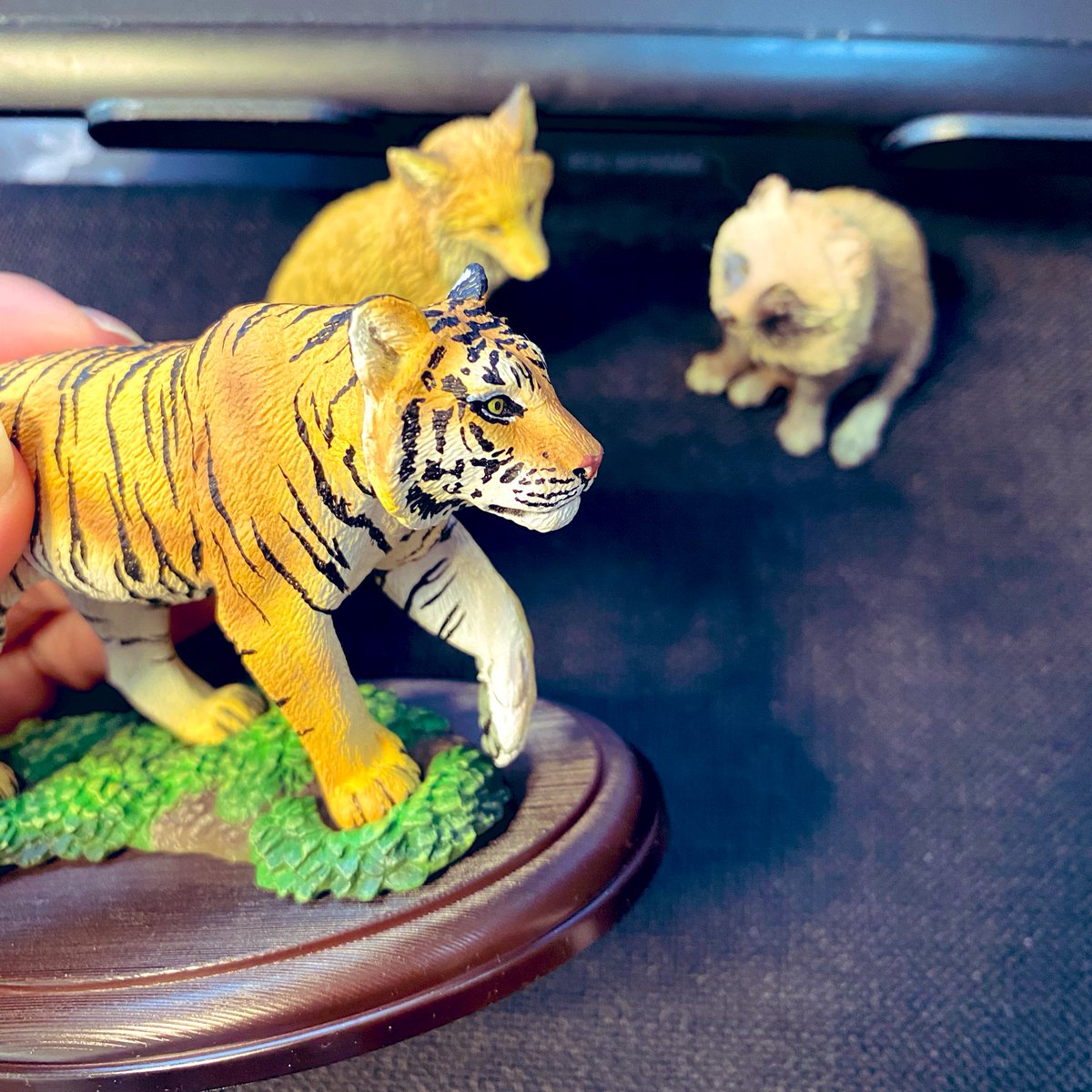 今日から資料フィギュアに虎さんが仲間入り。太い腕がサイコーすぎてに