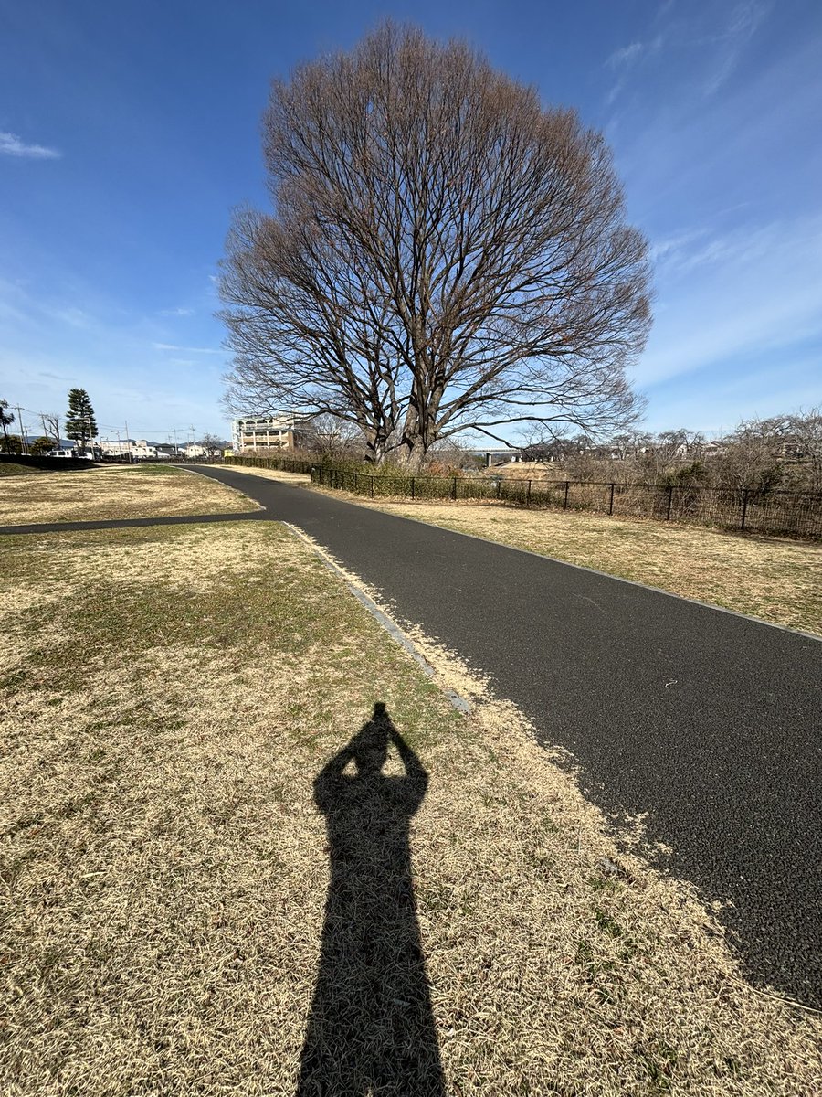 st_nomad's tweet image. マスターピース✌️傑作👍サウンドディレクションもマイブララブレスに匹敵するのでは(汗　#NewDad