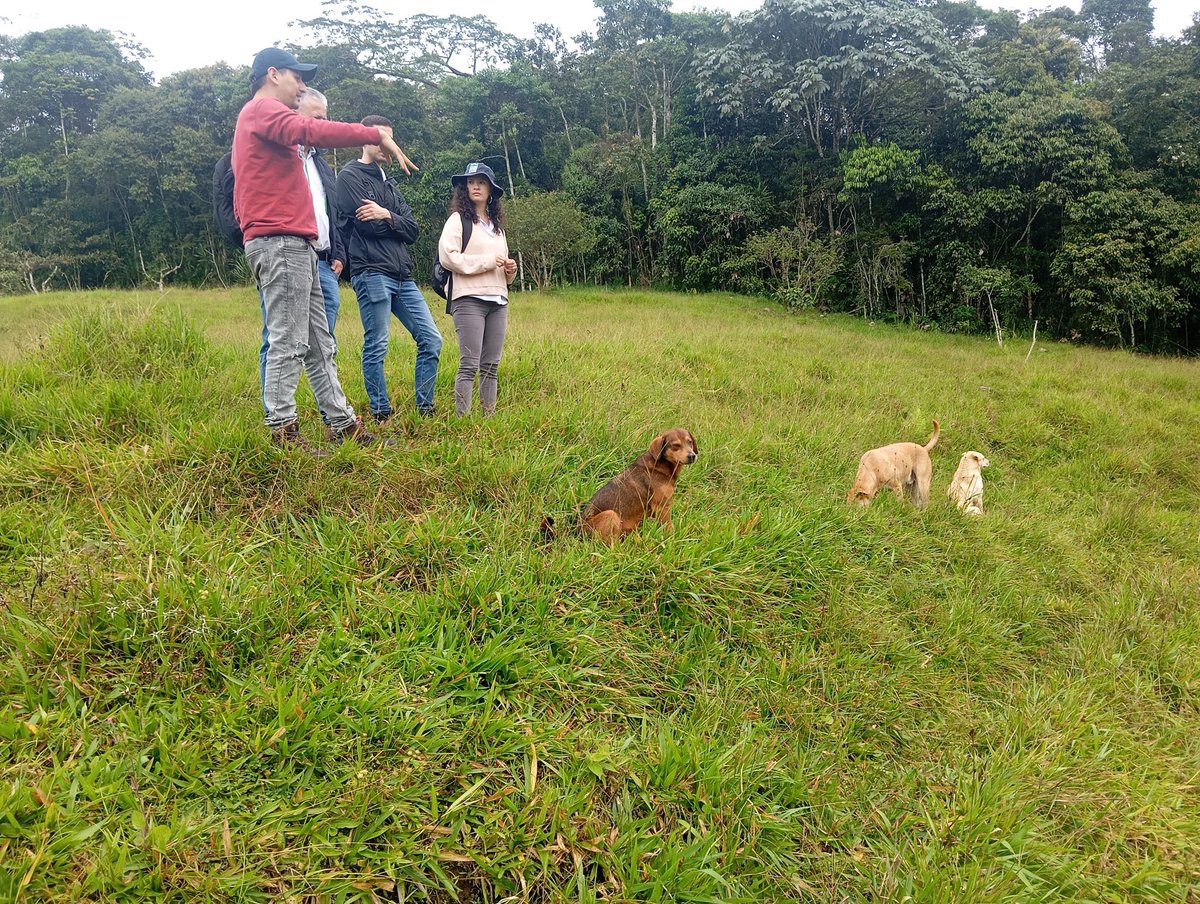 Juancho Sinisterra 🇨🇴 tweet media
