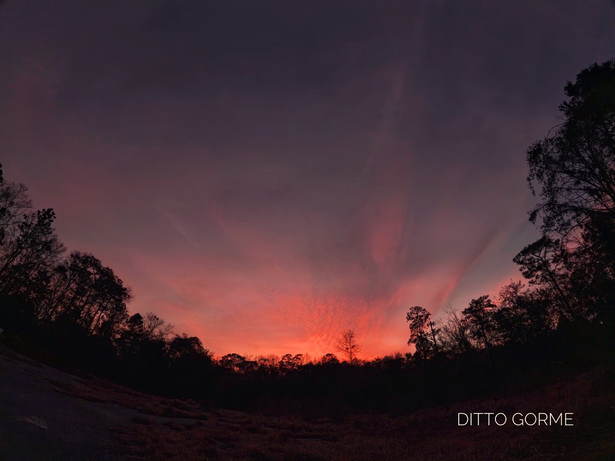 Ditto Gorme tweet media