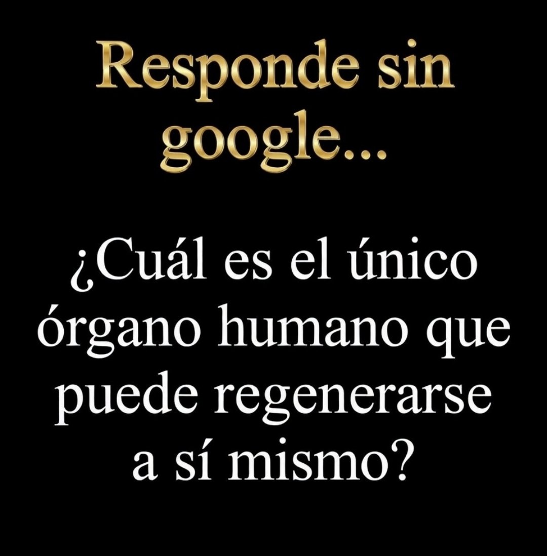 SolidKroket tweet media