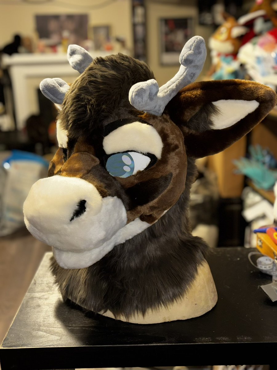 moose 🔜 MFF tweet media