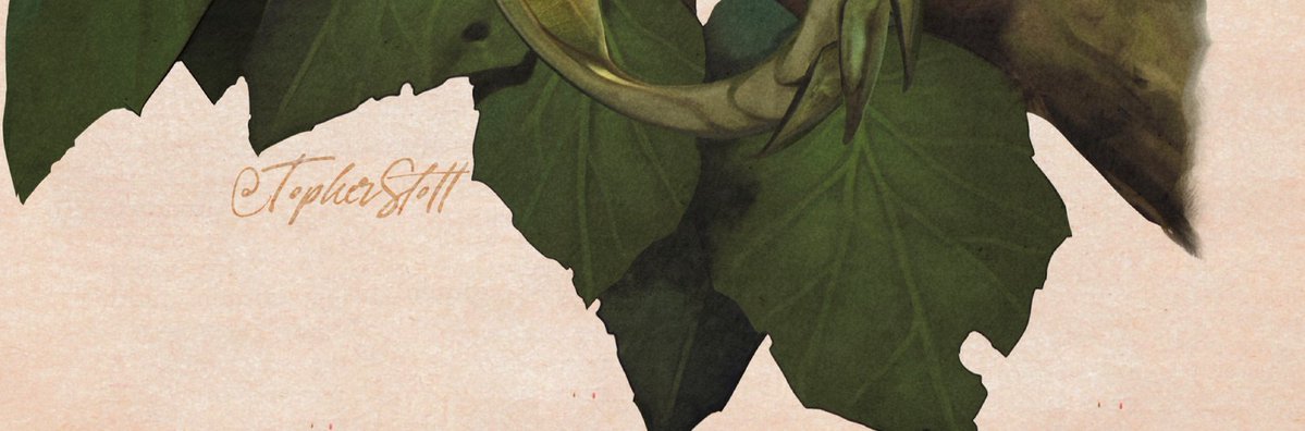 “Their camouflage is as behavioral as it is visual. When wind stirs the trees, they sway; when rain falls, they elongate and slacken their wings to mimic soaked leaves. It is not enough to look like foliage. To survive, one must be utterly in tune with the rhythms of the forest.”