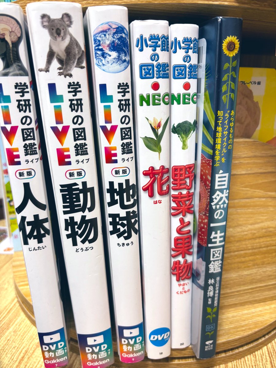 ゆきママ⛄️🟨 (@yukimama_____) / Posts / X