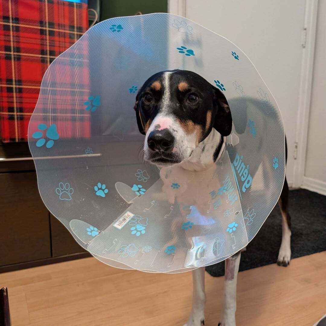 the_MerMae tweet media