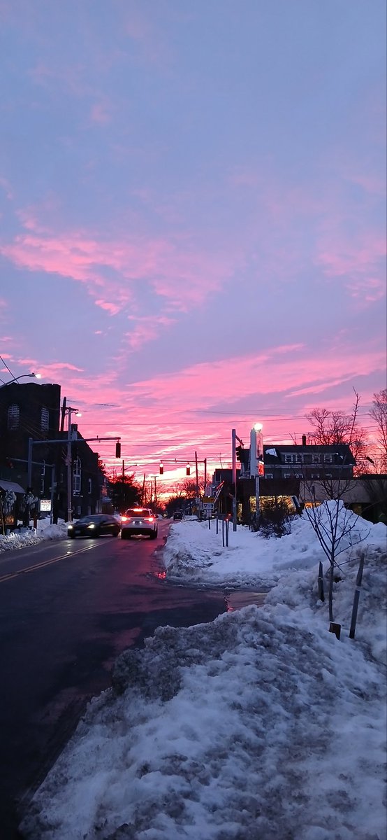 Michelle Costa tweet media