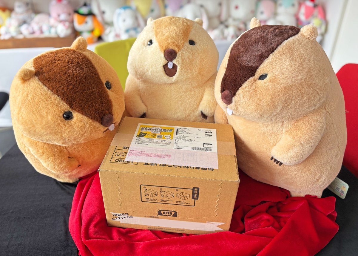 アミューズ AMUFUN【公式】 (@AMUSE_japan) / Posts / X