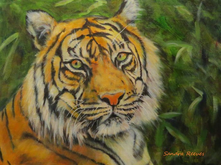 sandrareevesART's tweet photo. Art of the Day! "Tiger in Bamboo oil painting". Buy at: https://t.co/VTqkBx3BIM https://t.co/yIh5OztD5t