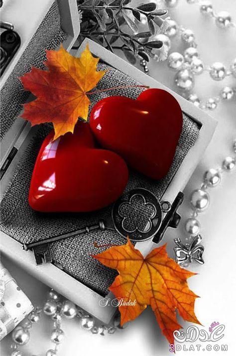 just__me080's tweet photo. رزقني الله فيكَ وأيقنت أنكَ أجمل وأعظم أختياري للأبد ❤️ https://t.co/8Crdab1V0D