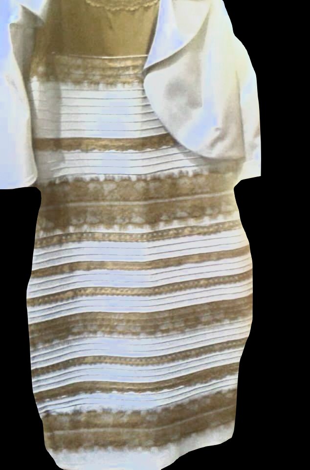 Max ¯\_(ツ)_/¯ tweet media