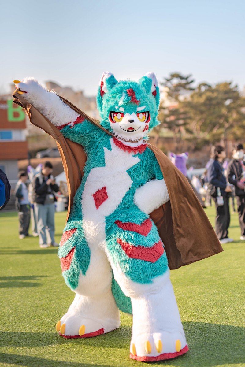 역시 망토하면 이 몸이지?!😏✨

やっぱりマントと言えば俺様だよな？！😏✨

📷 <a href="/rocha_0181/">🌸로챠/Rocha🌸</a> 
#FursuitFriday #FurryJoA2026